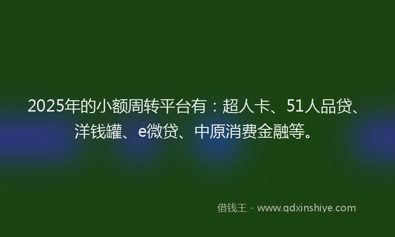 2025年的小额周转平台有：超人卡、51人品贷、洋钱罐、e微贷、中原消费金融等。