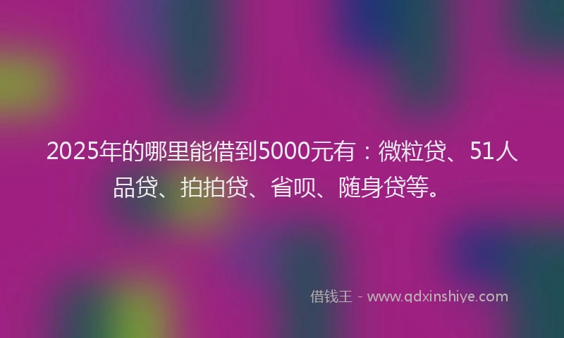 2025年的哪里能借到5000元有：微粒贷、51人品贷、拍拍贷、省呗、随身贷等。