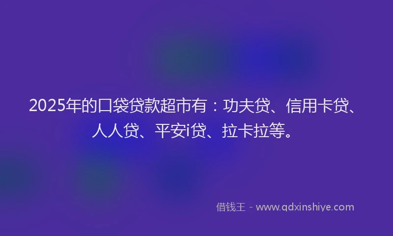 2025年的口袋贷款超市有：功夫贷、信用卡贷、人人贷、平安i贷、拉卡拉等。