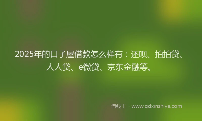 2025年的口子屋借款怎么样有：还呗、拍拍贷、人人贷、e微贷、京东金融等。