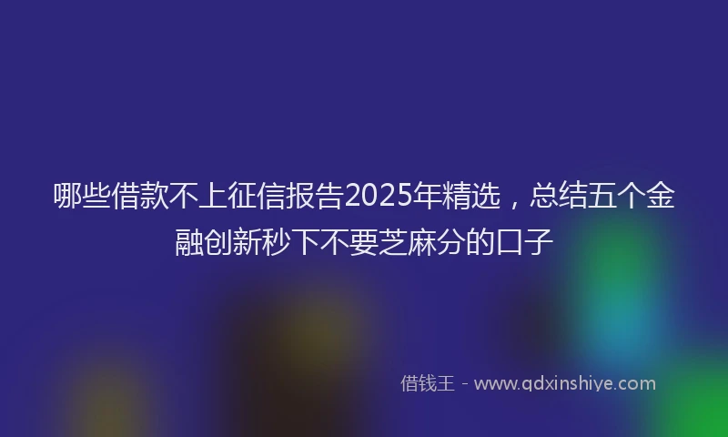 哪些借款不上征信报告2025年精选，总结五个金融创新秒下不要芝麻分的口子