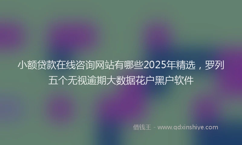 小额贷款在线咨询网站有哪些2025年精选，罗列五个无视逾期大数据花户黑户软件