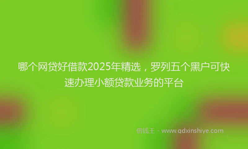 哪个网贷好借款2025年精选，罗列五个黑户可快速办理小额贷款业务的平台