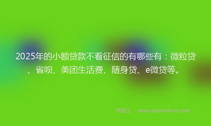 2025年的小额贷款不看征信的有哪些有：微粒贷、省呗、美团生活费、随身贷、e微贷等。