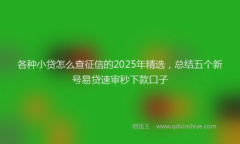 各种小贷怎么查征信的2025年精选，总结五个新号易贷速审秒下款口子