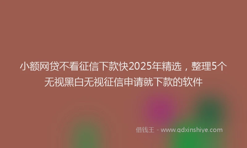 小额网贷不看征信下款快2025年精选，整理5个无视黑白无视征信申请就下款的软件