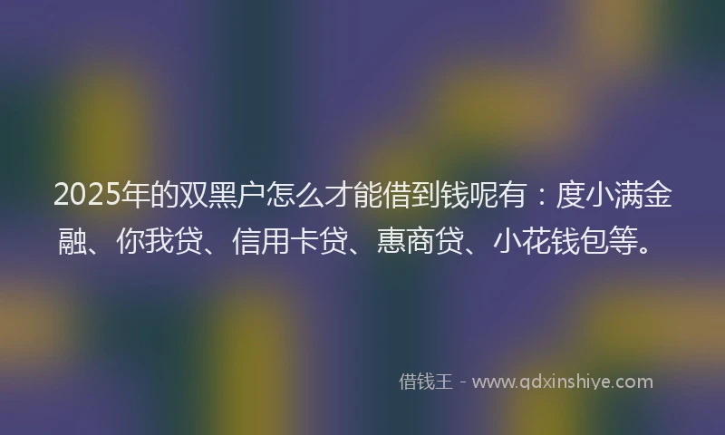 2025年的双黑户怎么才能借到钱呢有：度小满金融、你我贷、信用卡贷、惠商贷、小花钱包等。