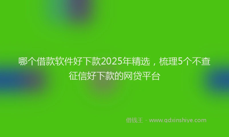 哪个借款软件好下款2025年精选，梳理5个不查征信好下款的网贷平台