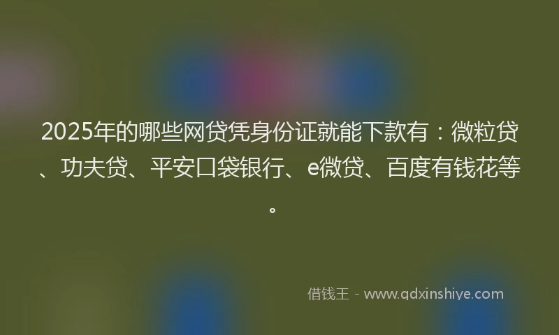 2025年的哪些网贷凭身份证就能下款有：微粒贷、功夫贷、平安口袋银行、e微贷、百度有钱花等。