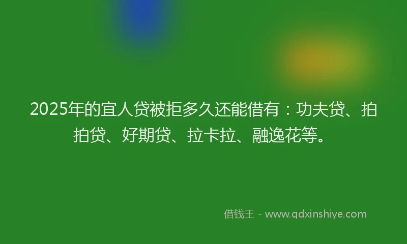 2025年的宜人贷被拒多久还能借有：功夫贷、拍拍贷、好期贷、拉卡拉、融逸花等。