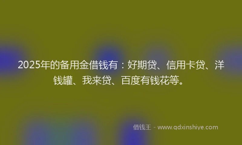 2025年的备用金借钱有：好期贷、信用卡贷、洋钱罐、我来贷、百度有钱花等。