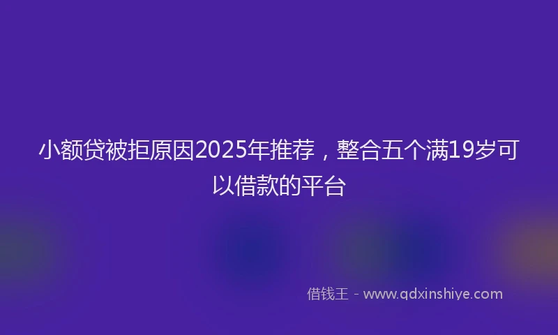 小额贷被拒原因2025年推荐，整合五个满19岁可以借款的平台