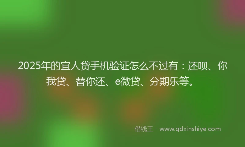 2025年的宜人贷手机验证怎么不过有：还呗、你我贷、替你还、e微贷、分期乐等。