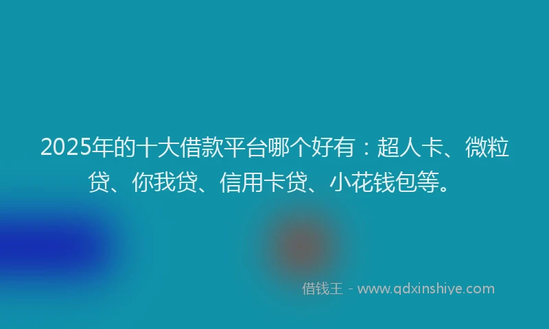 2025年的十大借款平台哪个好有：超人卡、微粒贷、你我贷、信用卡贷、小花钱包等。
