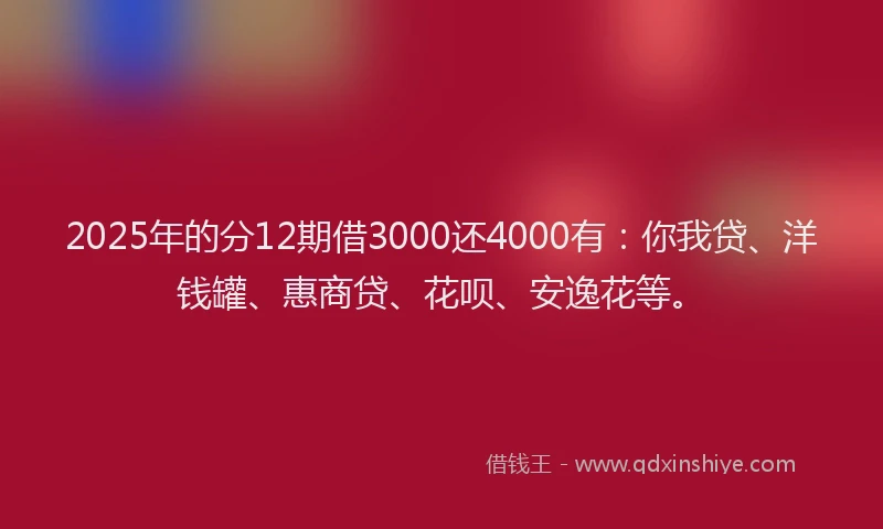2025年的分12期借3000还4000有：你我贷、洋钱罐、惠商贷、花呗、安逸花等。