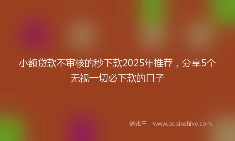 小额贷款不审核的秒下款2025年推荐，分享5个无视一切必下款的口子