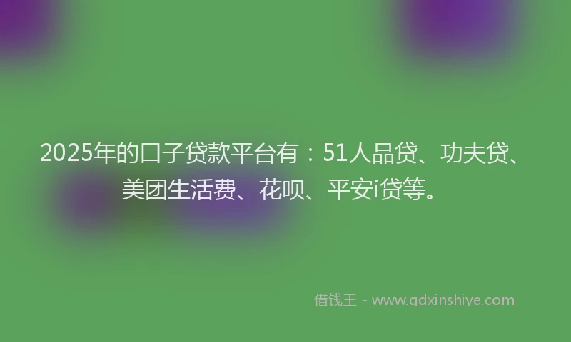 2025年的口子贷款平台有：51人品贷、功夫贷、美团生活费、花呗、平安i贷等。