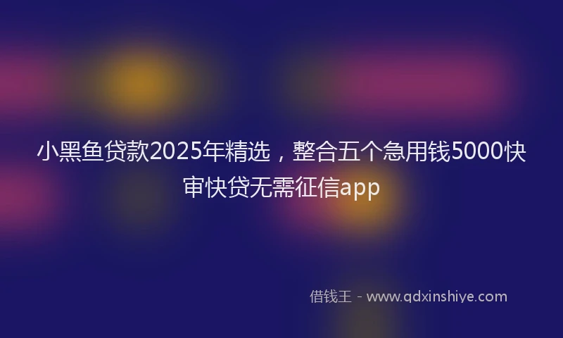 小黑鱼贷款2025年精选，整合五个急用钱5000快审快贷无需征信app