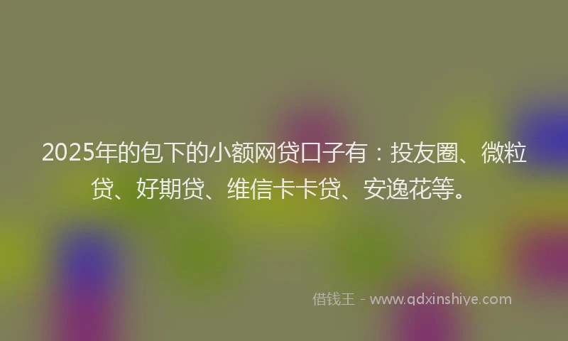 2025年的包下的小额网贷口子有：投友圈、微粒贷、好期贷、维信卡卡贷、安逸花等。