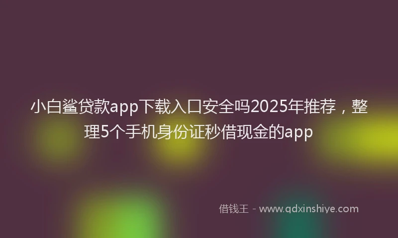 小白鲨贷款app下载入口安全吗2025年推荐，整理5个手机身份证秒借现金的app