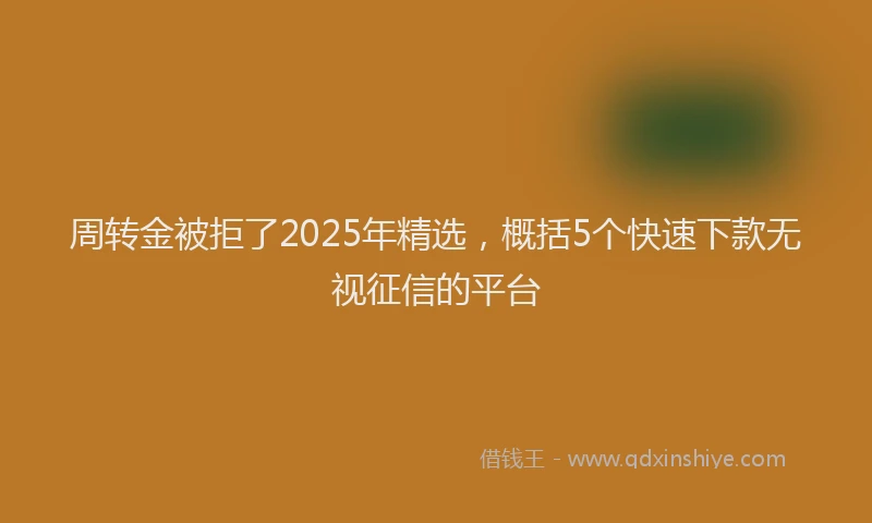 周转金被拒了2025年精选，概括5个快速下款无视征信的平台