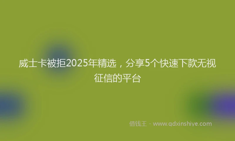 威士卡被拒2025年精选，分享5个快速下款无视征信的平台