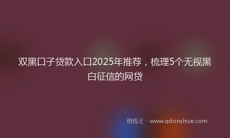 双黑口子贷款入口2025年推荐，梳理5个无视黑白征信的网贷