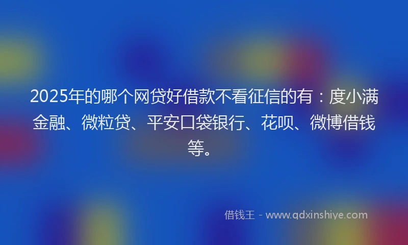 2025年的哪个网贷好借款不看征信的有：度小满金融、微粒贷、平安口袋银行、花呗、微博借钱等。