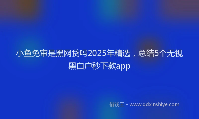 小鱼免审是黑网贷吗2025年精选，总结5个无视黑白户秒下款app