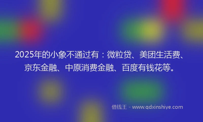 2025年的小象不通过有：微粒贷、美团生活费、京东金融、中原消费金融、百度有钱花等。