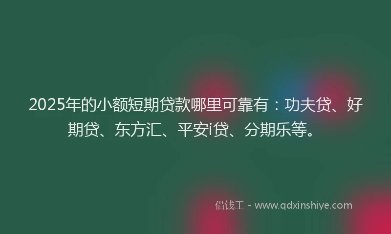 2025年的小额短期贷款哪里可靠有：功夫贷、好期贷、东方汇、平安i贷、分期乐等。