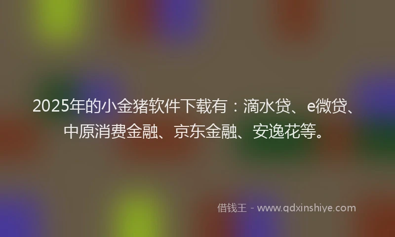 2025年的小金猪软件下载有：滴水贷、e微贷、中原消费金融、京东金融、安逸花等。