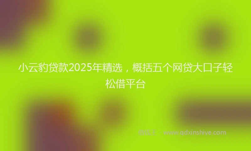小云豹贷款2025年精选，概括五个网贷大口子轻松借平台