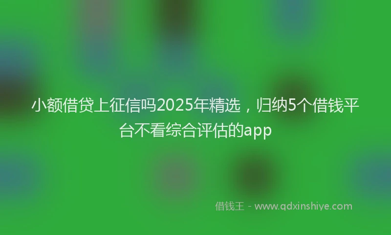 小额借贷上征信吗2025年精选，归纳5个借钱平台不看综合评估的app