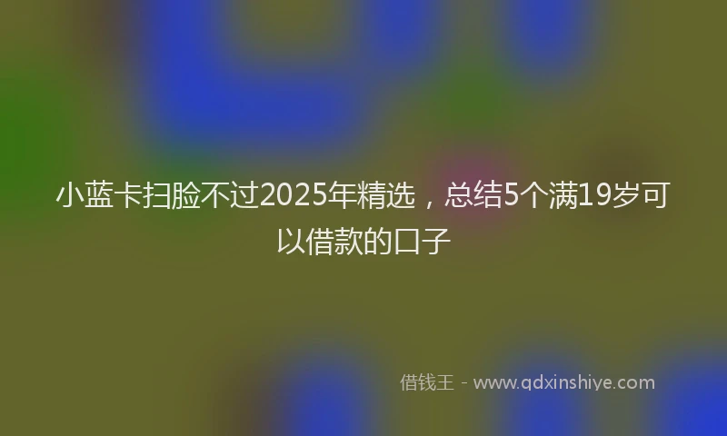 小蓝卡扫脸不过2025年精选，总结5个满19岁可以借款的口子