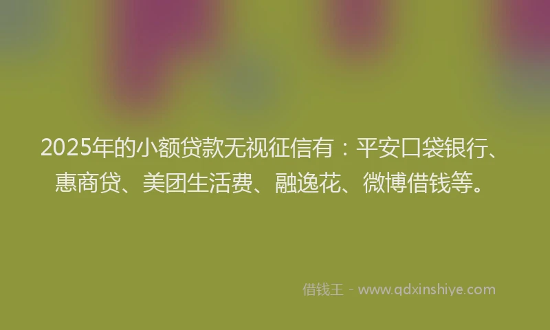 2025年的小额贷款无视征信有：平安口袋银行、惠商贷、美团生活费、融逸花、微博借钱等。