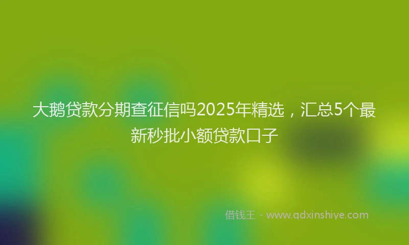 大鹅贷款分期查征信吗2025年精选，汇总5个最新秒批小额贷款口子