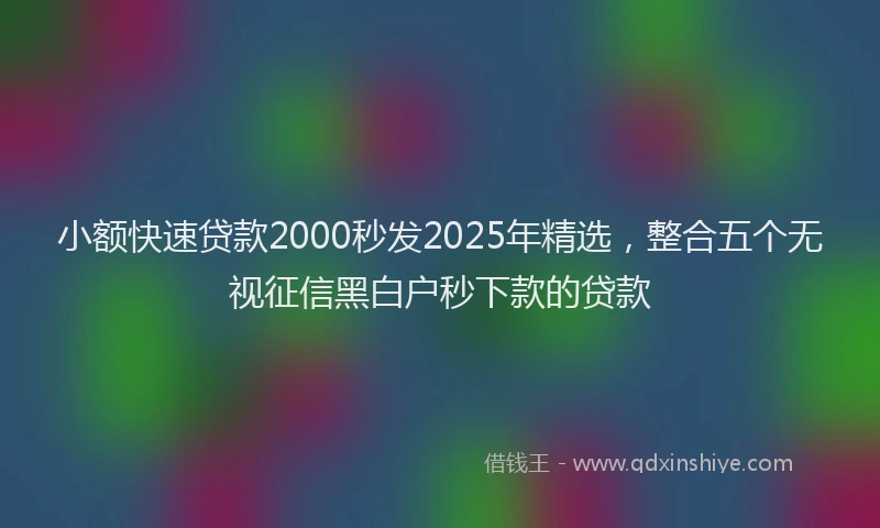 小额快速贷款2000秒发2025年精选，整合五个无视征信黑白户秒下款的贷款
