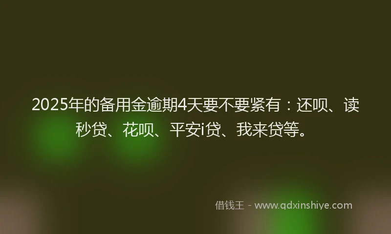 2025年的备用金逾期4天要不要紧有：还呗、读秒贷、花呗、平安i贷、我来贷等。