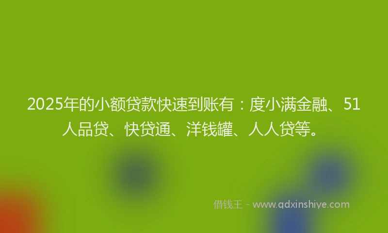 2025年的小额贷款快速到账有：度小满金融、51人品贷、快贷通、洋钱罐、人人贷等。