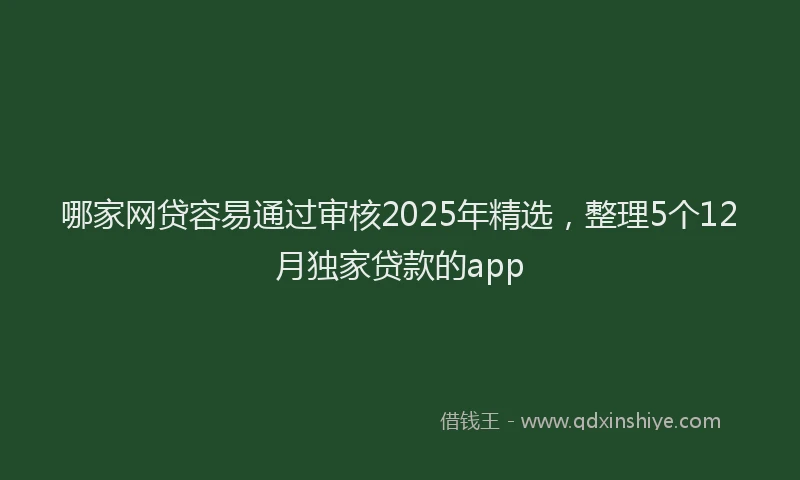 哪家网贷容易通过审核2025年精选，整理5个12月独家贷款的app