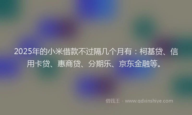 2025年的小米借款不过隔几个月有：柯基贷、信用卡贷、惠商贷、分期乐、京东金融等。