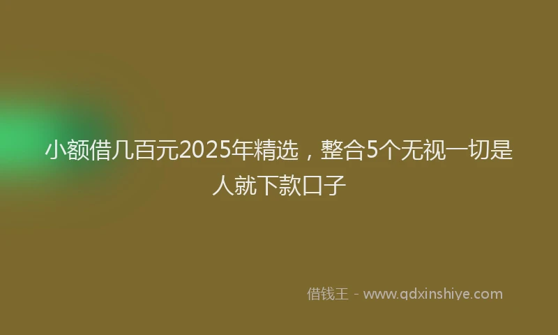 小额借几百元2025年精选，整合5个无视一切是人就下款口子
