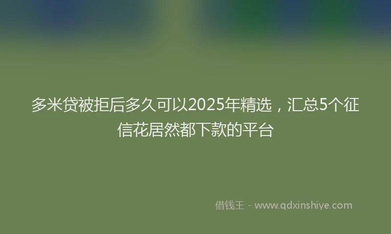 多米贷被拒后多久可以2025年精选，汇总5个征信花居然都下款的平台