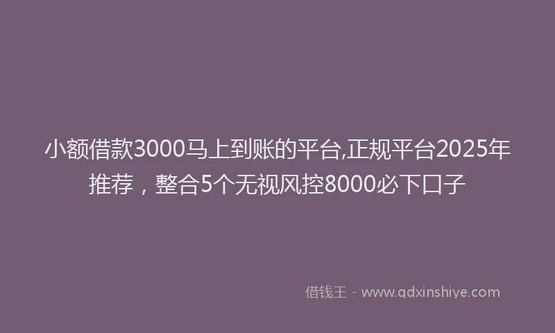 小额借款3000马上到账的平台,正规平台2025年推荐，整合5个无视风控8000必下口子