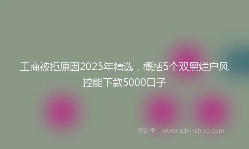 工商被拒原因2025年精选，概括5个双黑烂户风控能下款5000口子