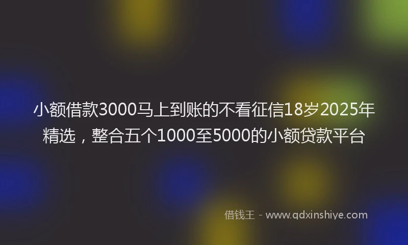 小额借款3000马上到账的不看征信18岁2025年精选，整合五个1000至5000的小额贷款平台
