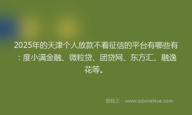 2025年的天津个人放款不看征信的平台有哪些有：度小满金融、微粒贷、团贷网、东方汇、融逸花等。
