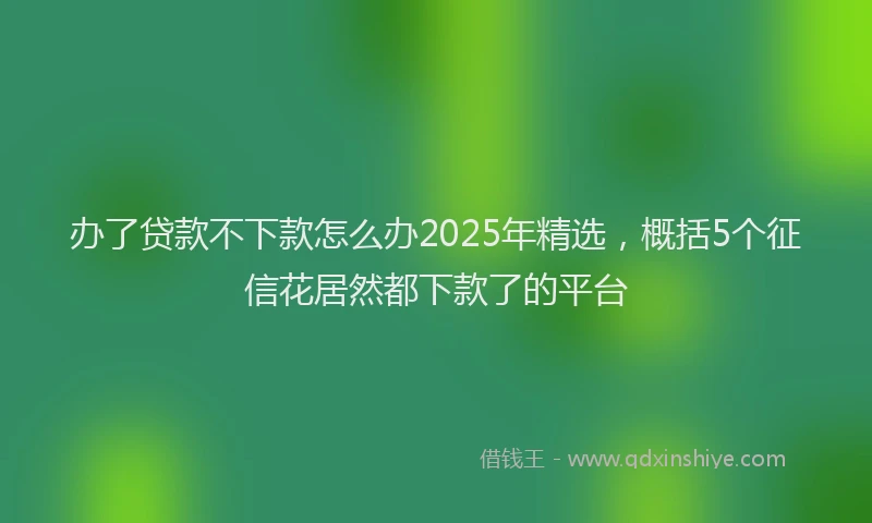 办了贷款不下款怎么办2025年精选，概括5个征信花居然都下款了的平台