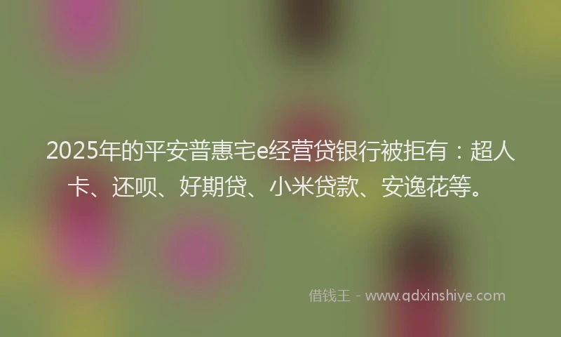 2025年的平安普惠宅e经营贷银行被拒有：超人卡、还呗、好期贷、小米贷款、安逸花等。